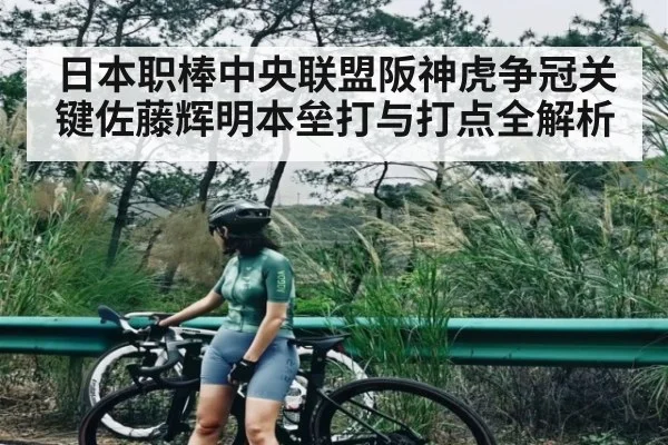 日本职棒中央联盟阪神虎争冠关键佐藤辉明本垒打与打点全解析